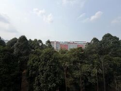 The Canopy (D27), Condominium #621187541